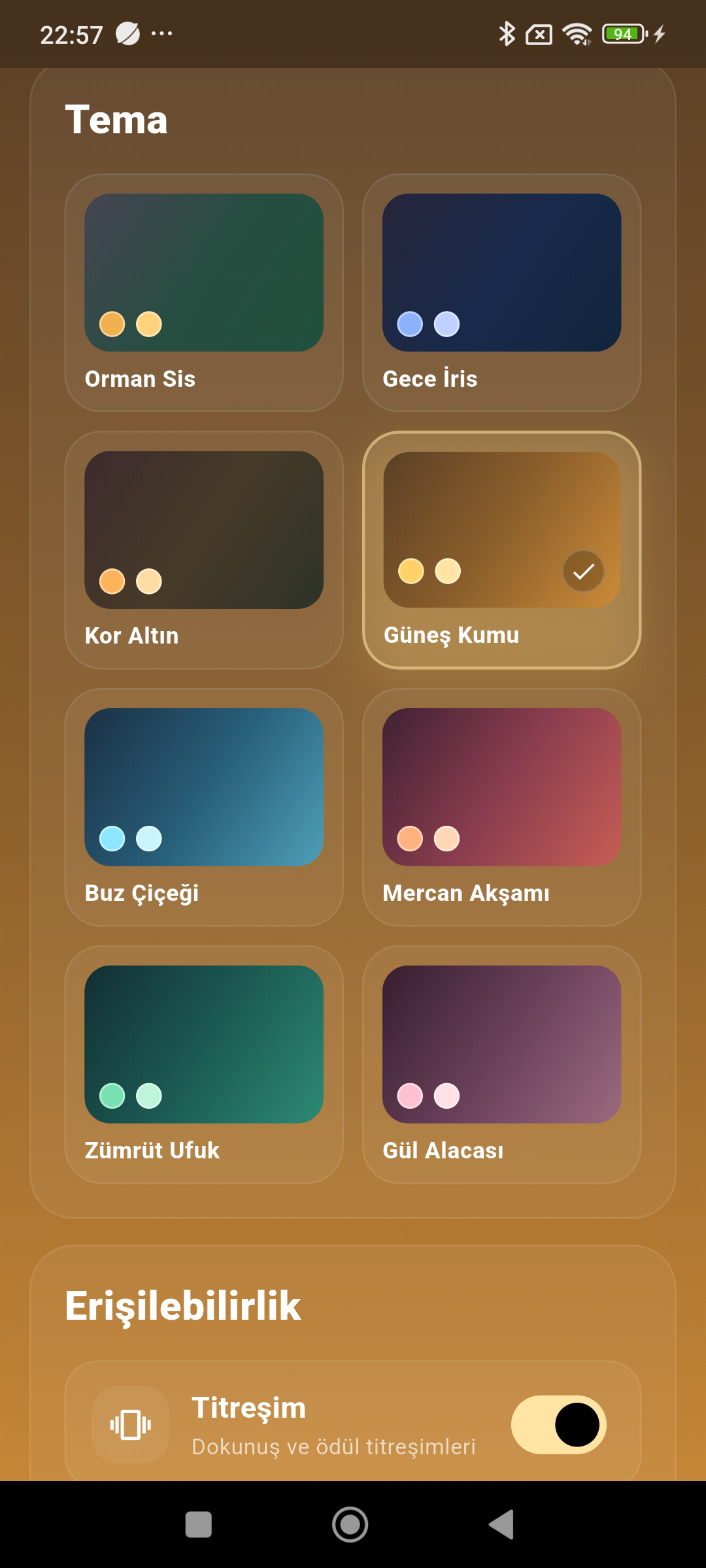 Theme selection screen